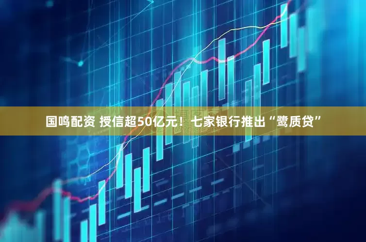 国鸣配资 授信超50亿元！七家银行推出“鹭质贷”