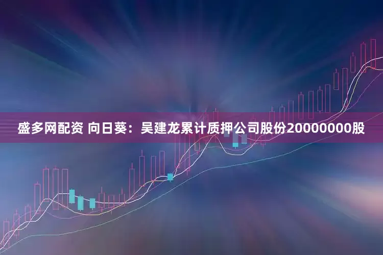 盛多网配资 向日葵：吴建龙累计质押公司股份20000000股