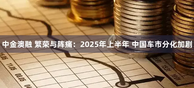 中金澳融 繁荣与阵痛：2025年上半年 中国车市分化加剧